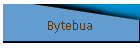Bytebua